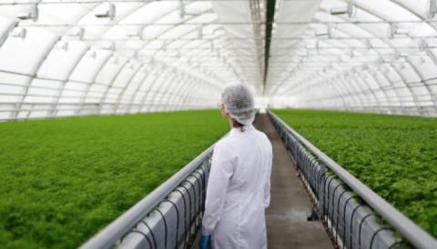 Agriculture