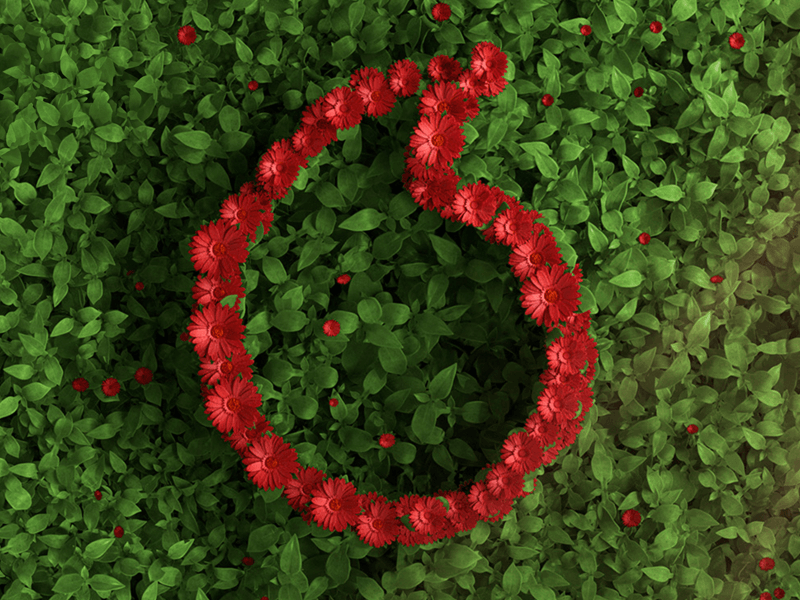 Flowers in shape of vodacom speechmark