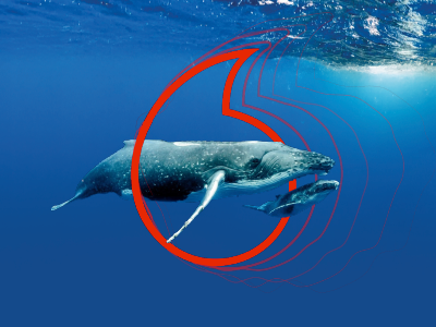 WWF Saldanha Bay