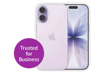 iPhone 17 256GB