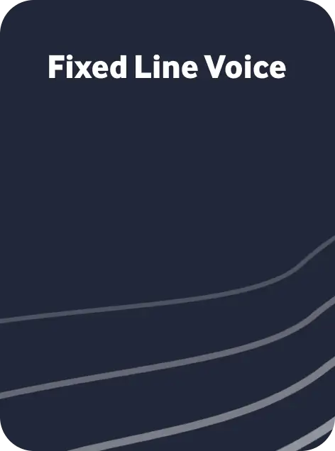 Fixed Line Voice