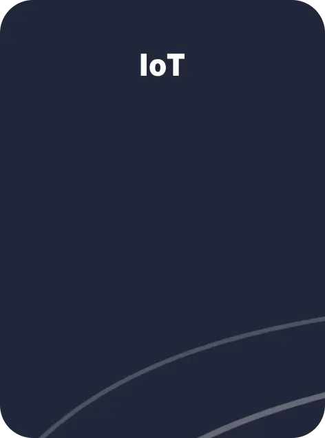 IoT