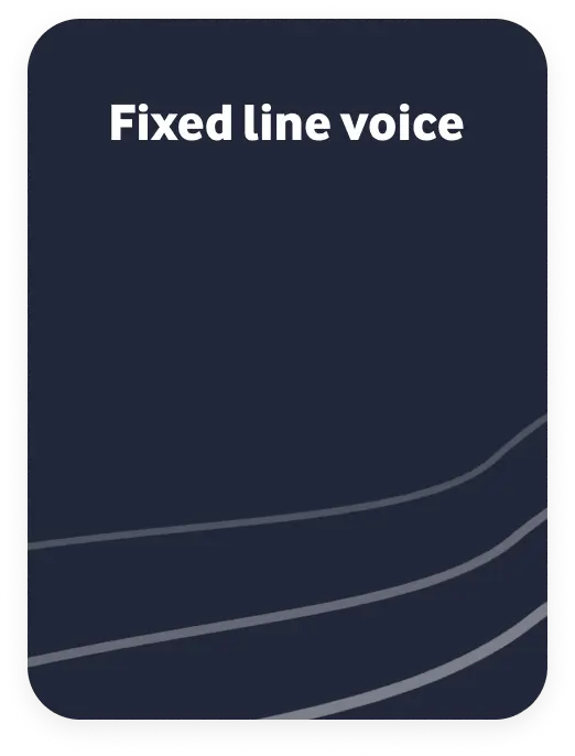 Fixed line voice category card on dark blue background