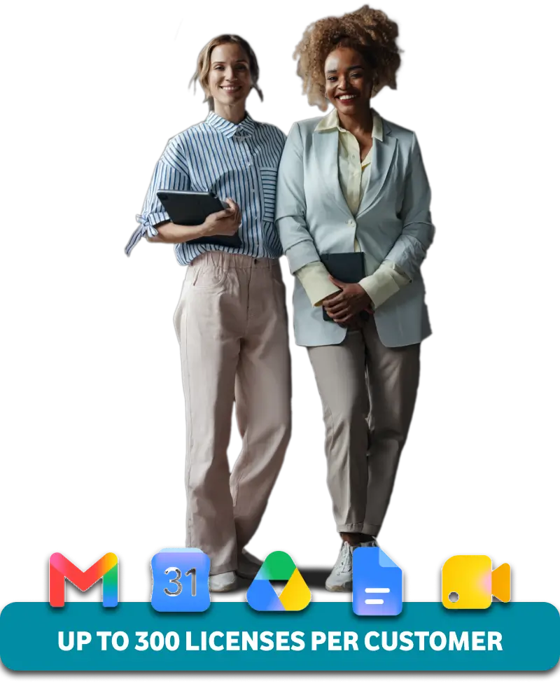 Google Workspace Up to 300 licenses per customer