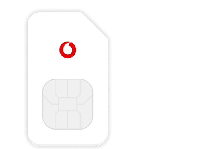 60GB Data