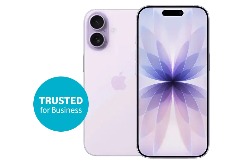 iPhone 17 256GB
